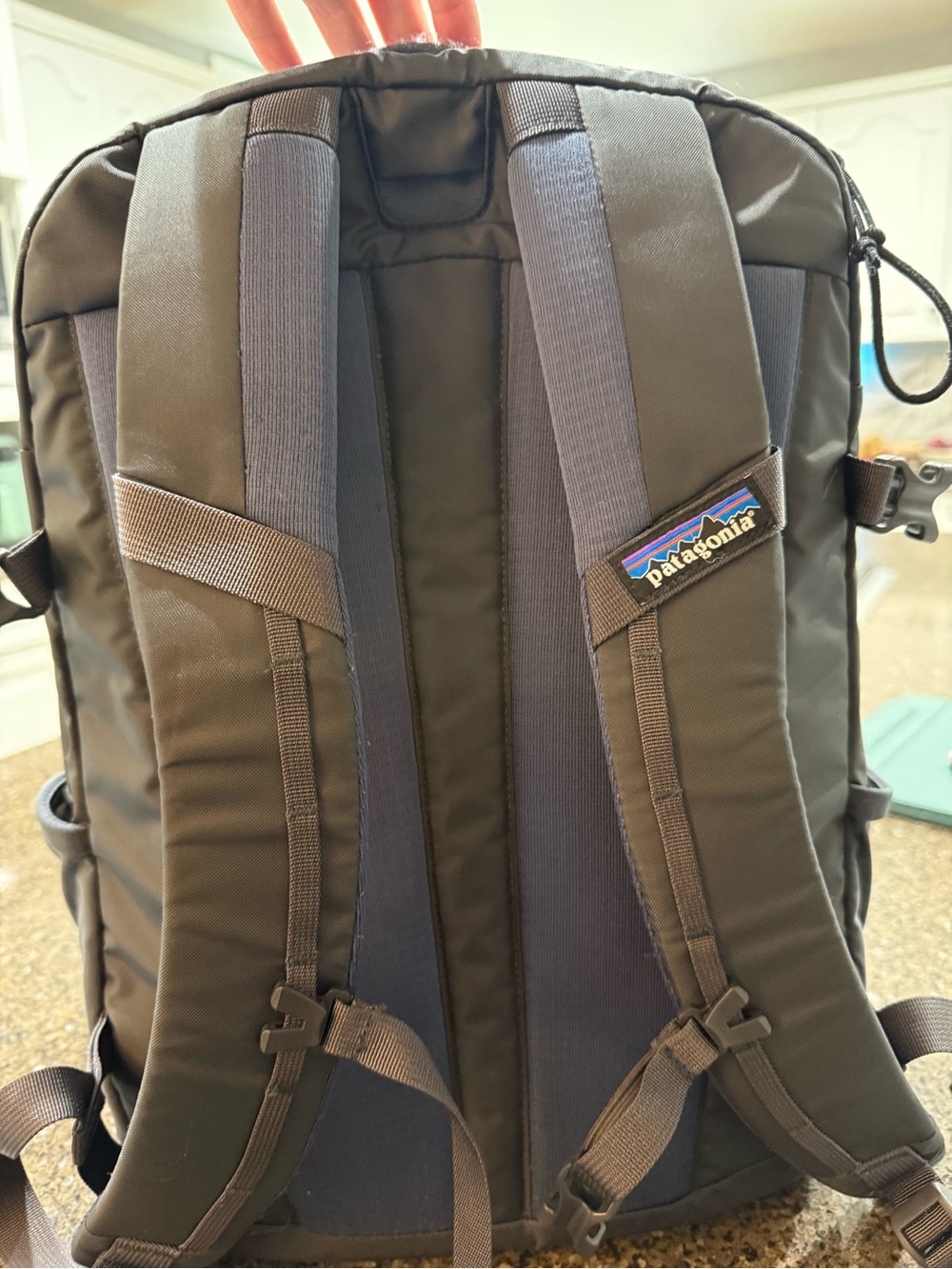 Patagonia Rugio 26L Backpack - Picture 4 of 11
